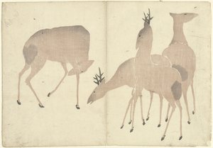 Four Deer by Nakamura Hochu