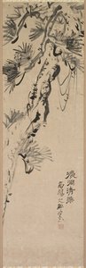 Aged Pine, 1717-1780