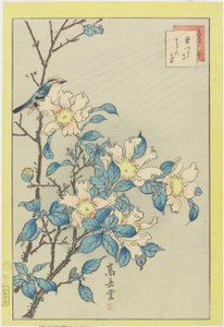 Blue Bird and Pink Flowers, 1859