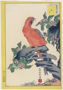 Pink Parrot on Rock, 1859 by Nakayama Sugakudo