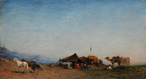 Arab Camp