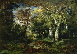 The Forest at Fontainebleau by Narcisse Virgile Diaz de la Peña