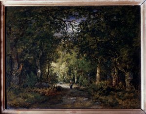 The road under wood
