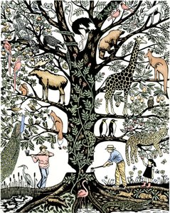 6th Mass Extinction
