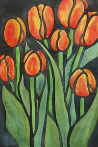 Bold Orange Tulips