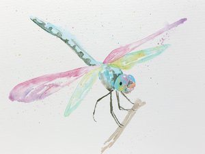 Dragonflies on a Branch in Pastel Colors by Natalie Bruns