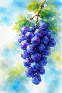 Purple Grapes Watercolor