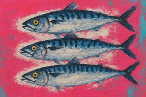 Vibrant Mackerel Trio by Natalie Bruns
