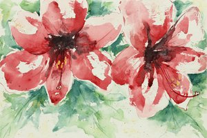 Vibrant Red Flowers