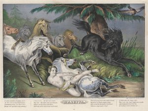 Mazeppa: Plate 3 of set of Four Plates (Surrounded by Wild Horses)