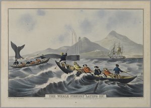 The Whale Fishery 