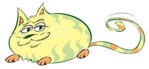 Curvy Cat