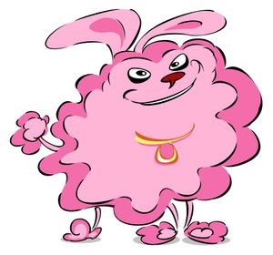 Pompom Poodle - Caricature