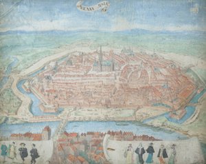 View of Vienna from a Bird