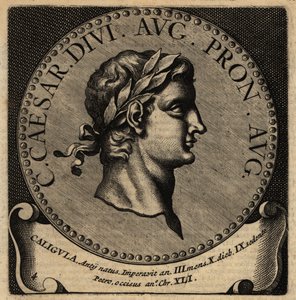 Portrait of Roman Emperor Caligula by Netherlandish School