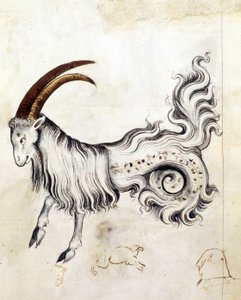 The zodiac sign Capricorn by Netherlandish School
