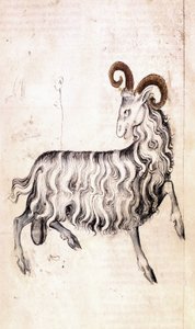 The Zodiac Sign Capricorn