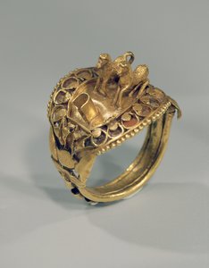 Horse ring