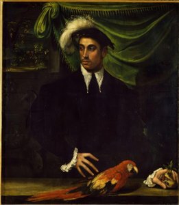 Portrait of a Young Man with Parrot by Niccolò dell Abbate