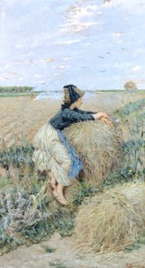 Wheatgrass in Tombolo by Niccolo Cannicci