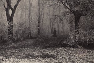 In the Forest of Vienna by Nichol Elliot