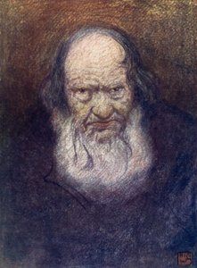 Norway: Old Age, Telemarken by Nico Jungman