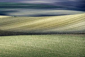 Rolling Field Patterns by Nicola Figliuolo
