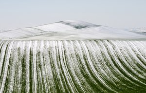 Snowy Field Patterns by Nicola Figliuolo