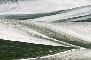 Winter Field Patterns by Nicola Figliuolo