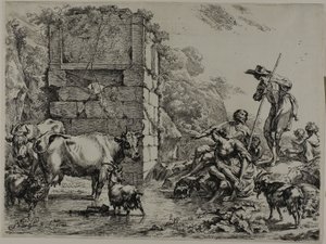 Cow Drinking