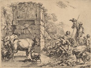 Cow Drinking