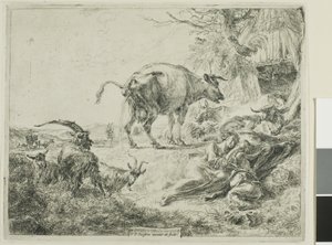 Cow Relieving Itself by Nicolaes Berchem