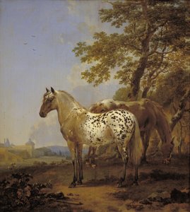 Two Horses in a Landscape by Nicolaes Berchem