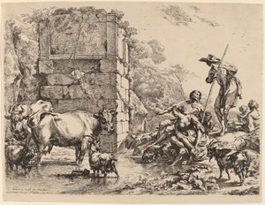Cow Drinking