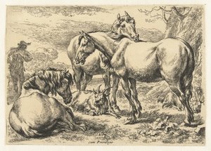 Three Horses (Animals series) by Nicolaes Pietersz Berchem