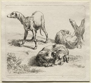 Three Hunting Dogs