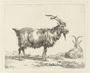 Two Goats Goats (series title) Animalia ad vivum delineata et aqua forti aeri impressa Studio et Arte Nicolai Berchemi (series title) by Nicolaes Pietersz Berchem