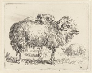 Two Rams and a Sheep