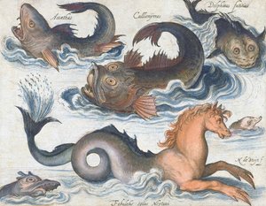 Seahorse and imaginary aquatic creatures by Nicolaes de (after) Bruyn
