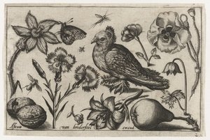 Flowers, a Pear, and a Dove (Birds, Flowers, Insects, etc.) by Nicolaes de Bruyn (possibly)
