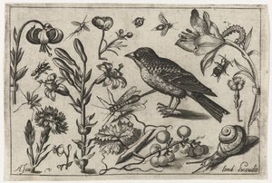 Flowers, a Snail, and a Bird (series title: Birds, Flowers, Insects, etc.) by Nicolaes de Bruyn (possibly)