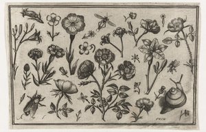 Flowers, a Fly, and a Snail by Nicolaes de Bruyn (possibly)