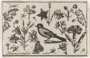 Flowers, Butterfly, and a Bird by Nicolaes de Bruyn (possibly)