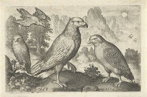 Eagle and Other Birds of Prey by Nicolaes de Bruyn