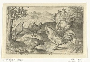 Three Chickens and Two Roosters by Nicolaes de Bruyn