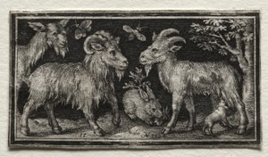Goats and Hare