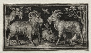 Goats and Hare