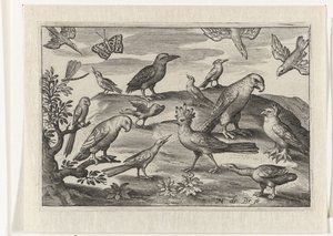 Hoopoe and Other Birds (Birds and Insects series) by Nicolaes de Bruyn