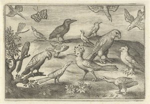 Hoopoe and Other Birds (series title: Birds and Insects) by Nicolaes de Bruyn