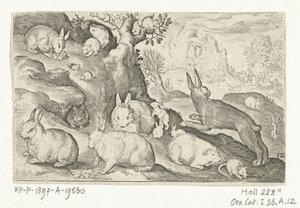 Rabbits, Squirrel, Guinea Pig, and Mouse (Series: Animalivm Qvadrvpedvm, Animals in Landscapes) by Nicolaes de Bruyn